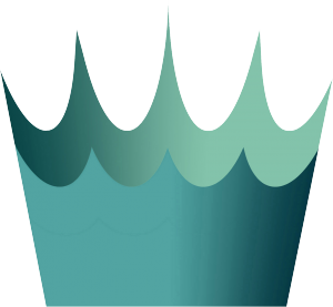 logo_kingtide